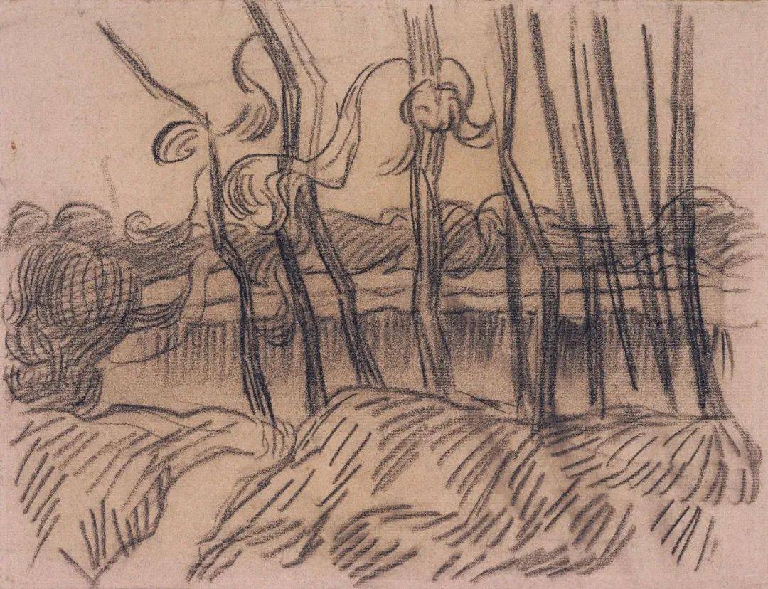 梵高素描手稿270幅 | 不知道世间有什么是肯定不变的,我只知道星星让