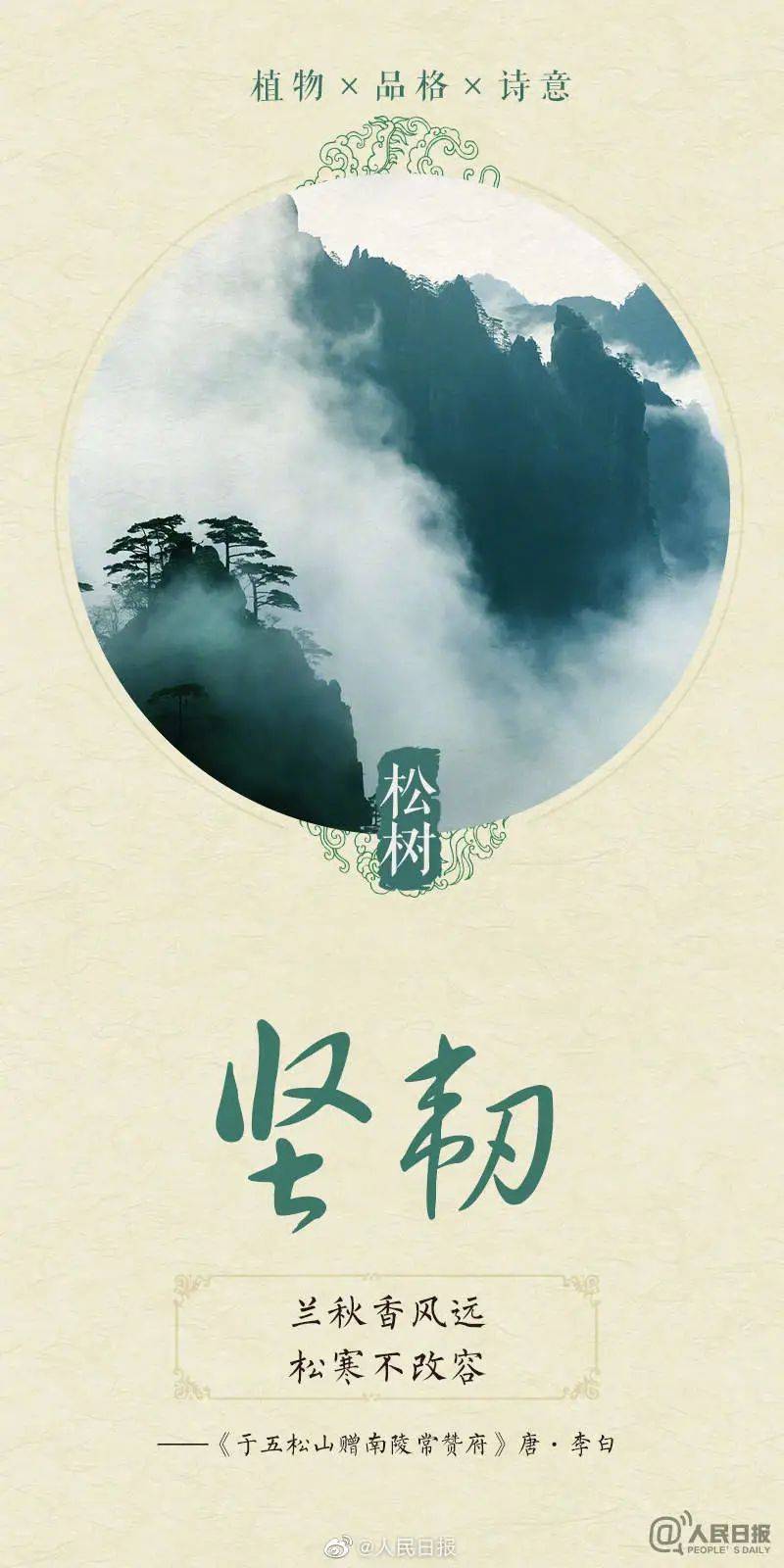诗意满满!今天植树节,感受植物中的中国式浪漫_来源_稿件_品格