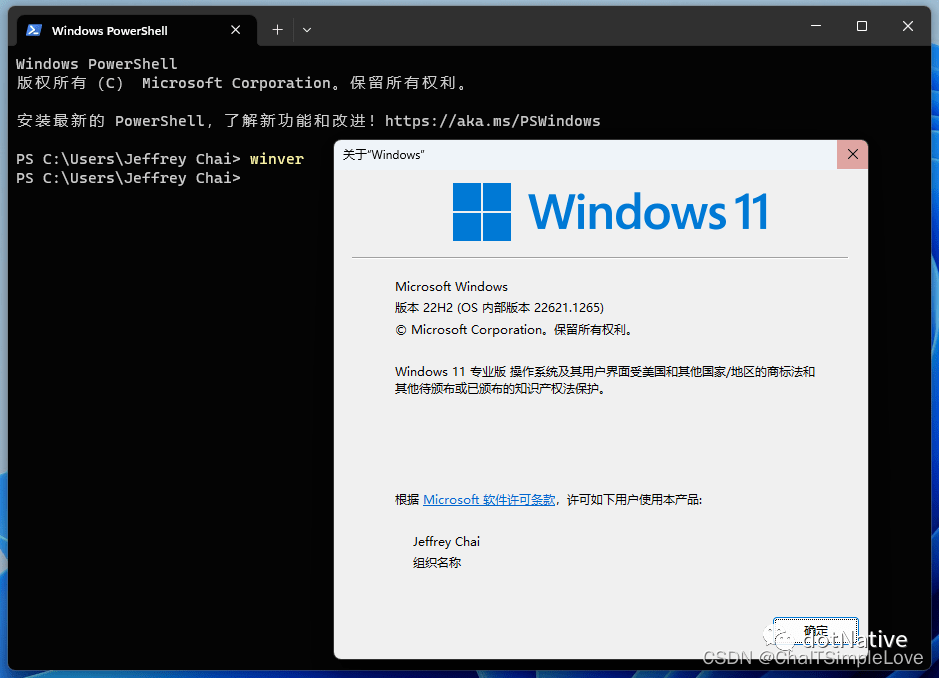 Windows 11 docker desktop linux 