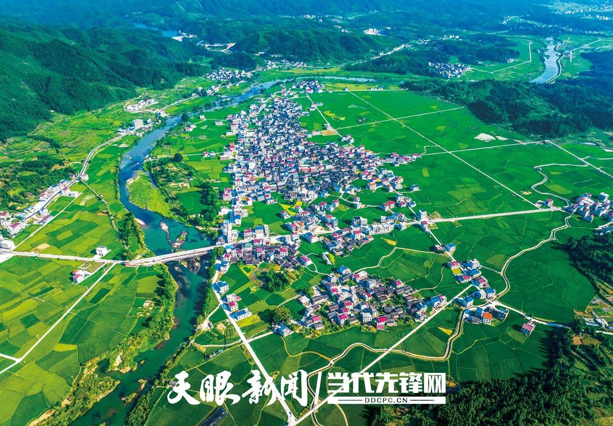 【云上展馆·图片背后的故事】 在花茂蝶变中见证贵州乡村之变_茂村