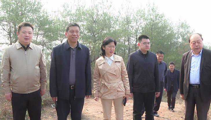 张文涛 蔡金虎)日前,湖北省林业局副局长黄德华一行到谷城县调研指导