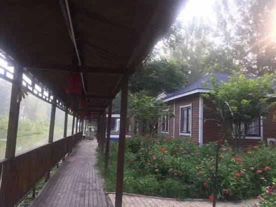 看蚌埠"醉"美乡村_景区_旅游_龙亢农场