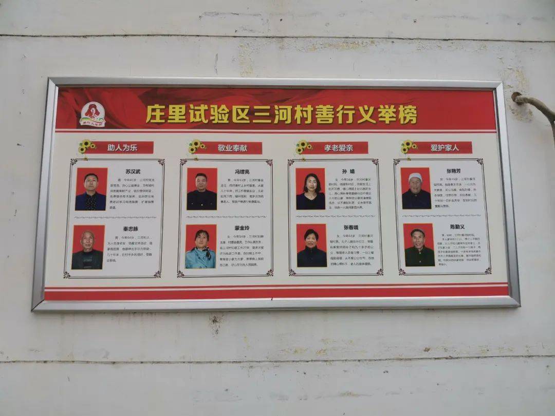 【陕西省"美丽乡村 文明家园"建设示范点风采85】富平县庄里试验区