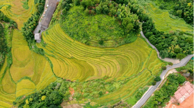 硬核推荐（客家情的非遗美食介绍）客家文化遗址及文物有哪些 第6张