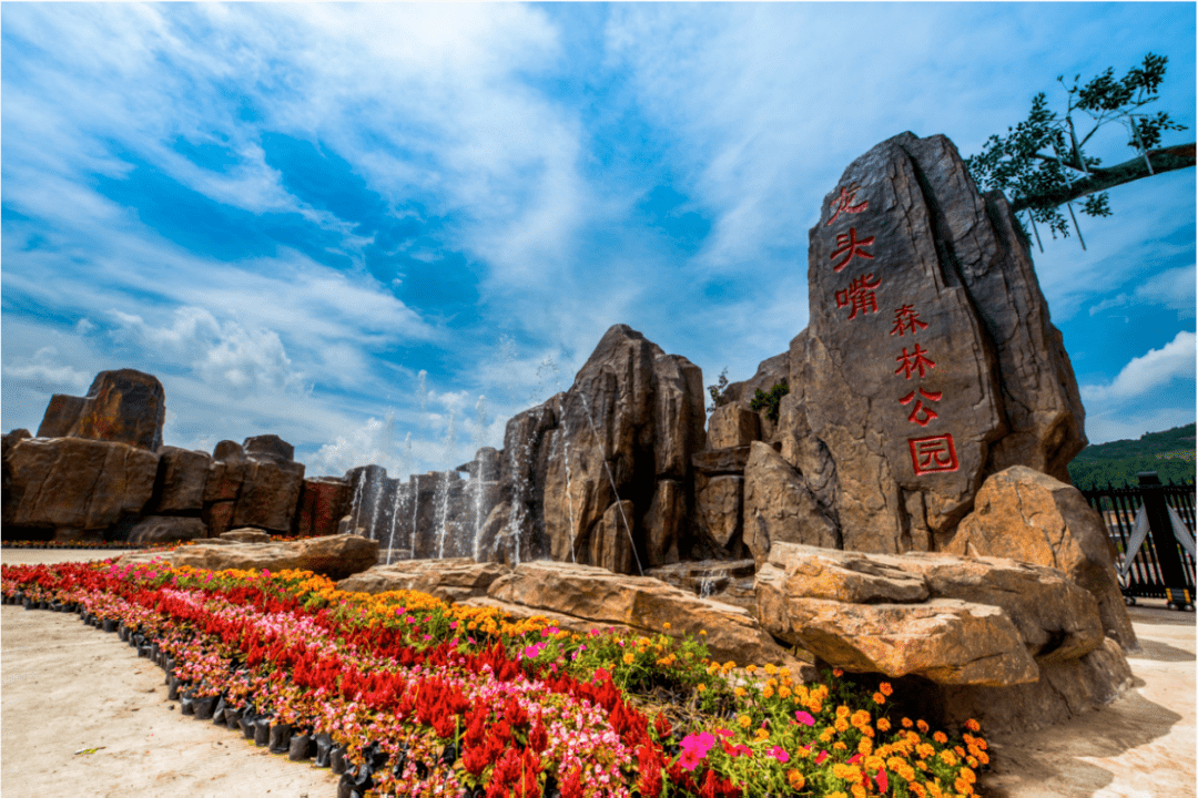 區——開州盛山植物園——童話森林王國——返程長沙橘海齊聖村休閒