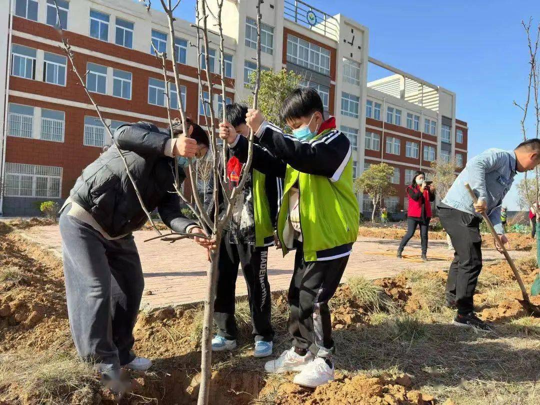 邹城九巨龙房地产开发公司向市慈善总会捐赠价值20万元希望树木_工作