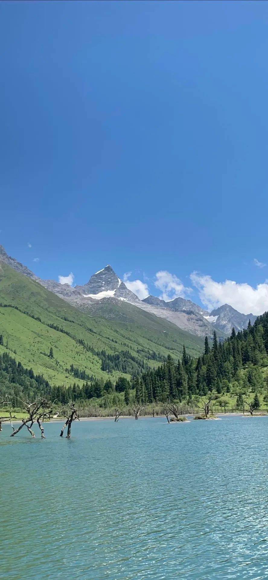 壁纸| 清欢自渡 得失随缘_礼物_图文_整理