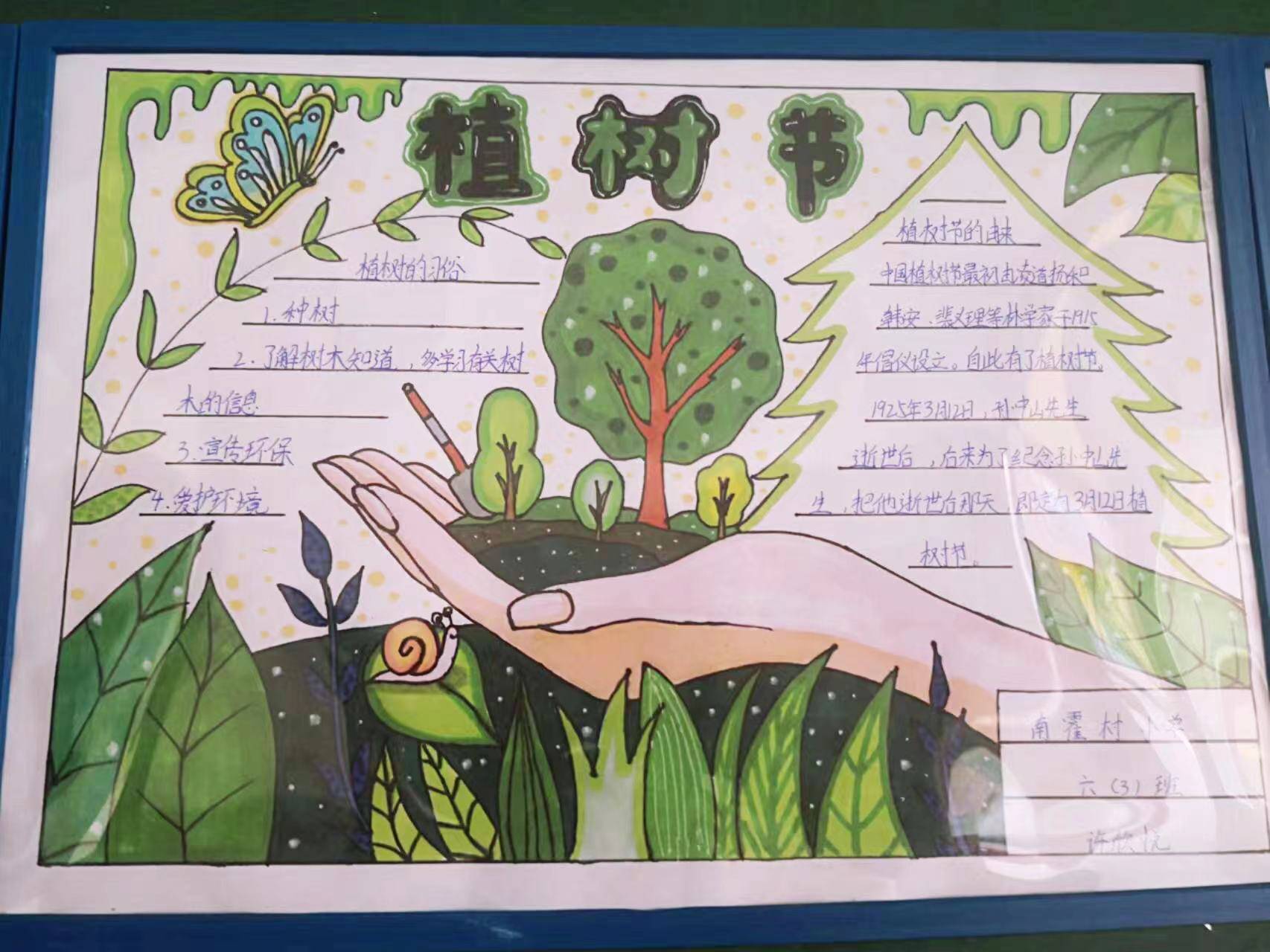 通过这次的植树节手抄报活动,以植物绿化为载体,使学生在了解绿化活动