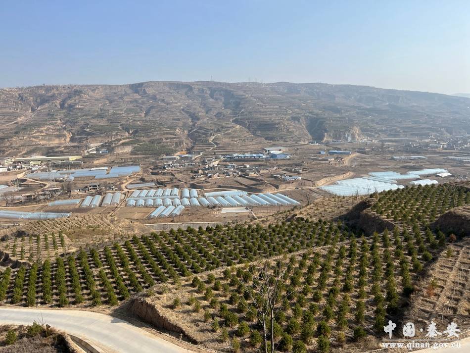 秦安县兴国镇2023年春季造林绿化工作全面推进_进行_巡查_林长