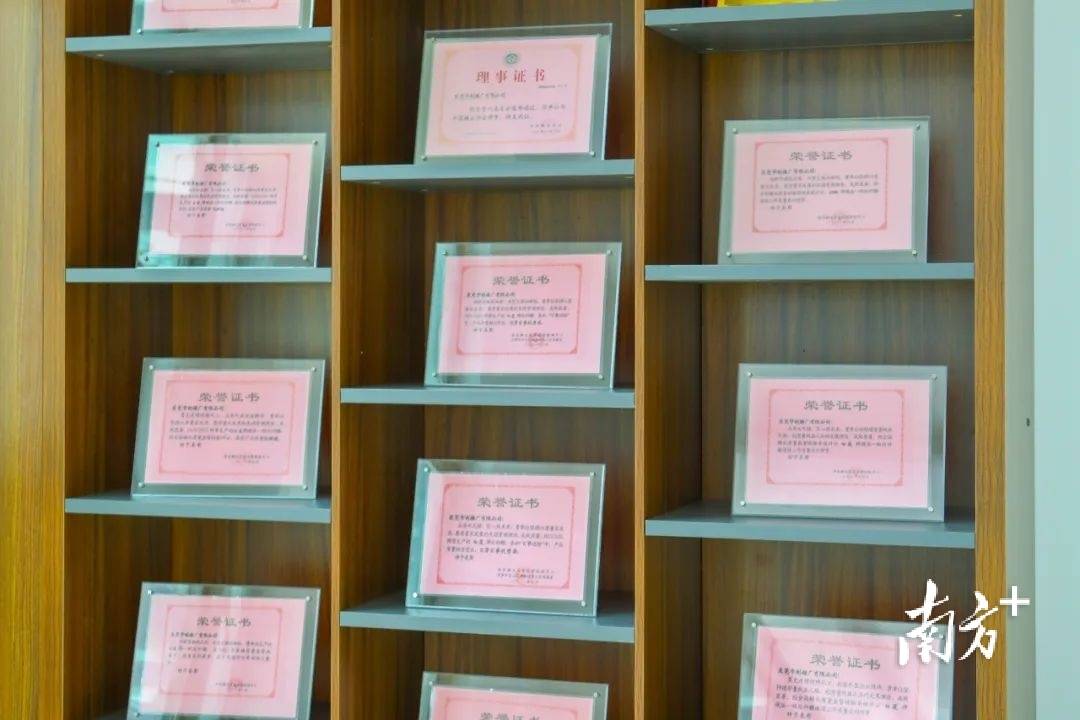 自动化助推高质量发展东莞制糖厂FB体育 FB体育平台迈向新起点(图8)