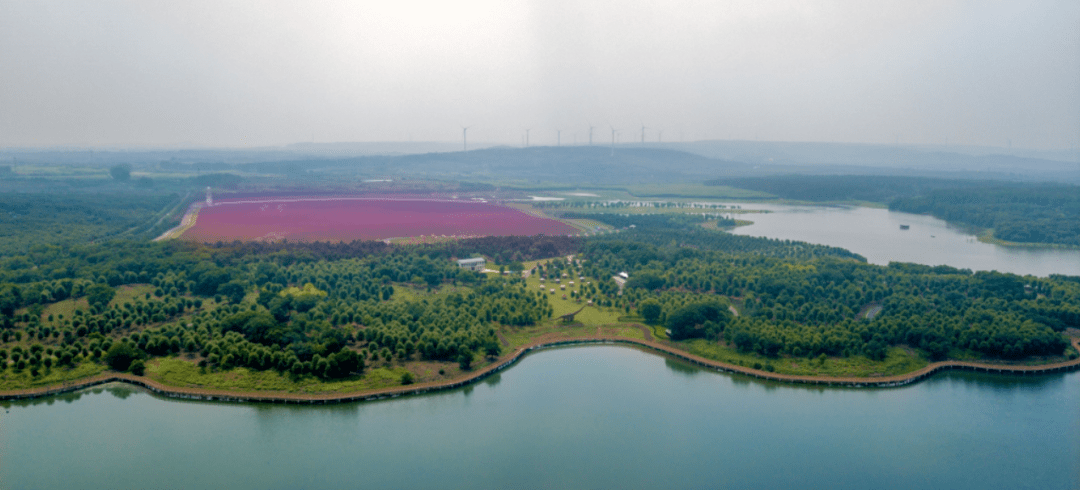 南京六合环大泉湖健身步道又双叒叕获奖啦_线路_全省_活动