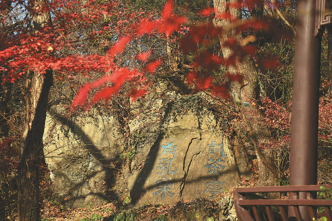 茶圣陆羽，为江苏文化史留下浓浓茶香_虎丘_栖霞山_天下