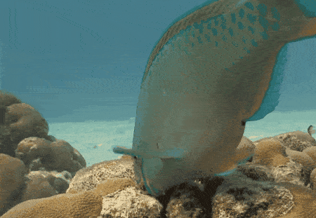 ��֪��������������ϸ��ɳ̲����ʵ���㡾��㡿��