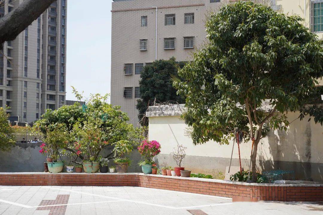 创建全国文明典范城市丨厦门海沧:"全国文明村"渐美村又添新地标