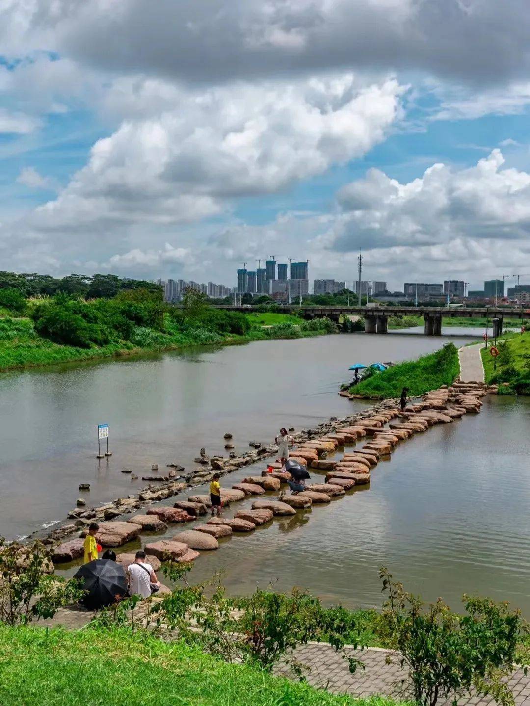 【网文】春日漫步坪山,遇见"坪"式浪漫_深圳_金龟_公园