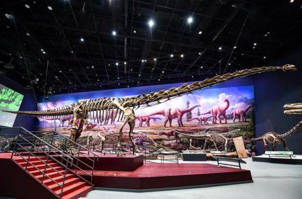 “恐龙”揭秘马门溪龙：已知恐龙中脖子最长，比长颈鹿的长6倍