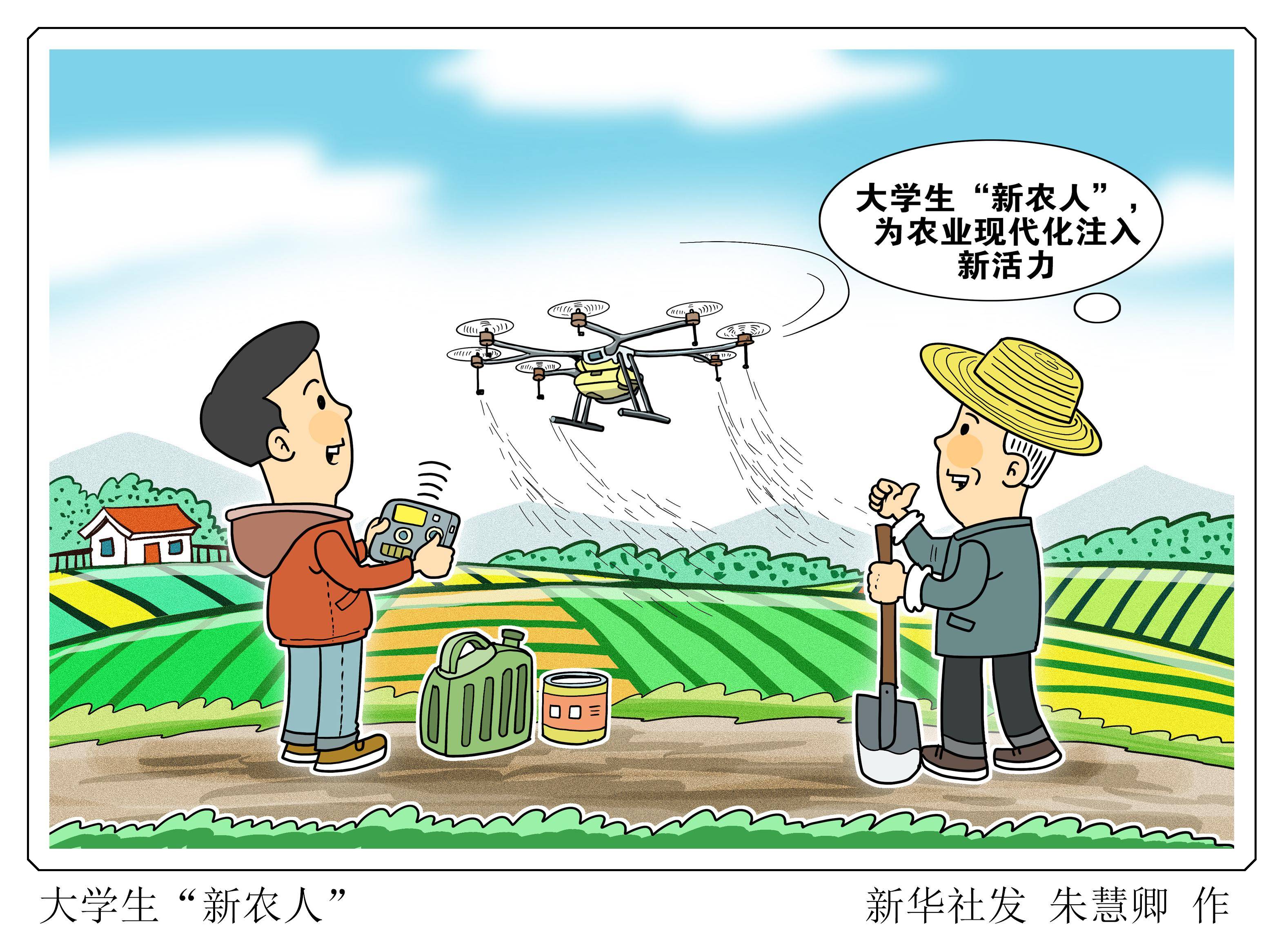 (图表·漫画)〔新华全媒头条〕大学生"新农人"_新华社_农业_农具