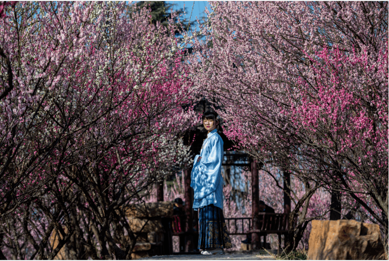 最美花海！“烟花三月下扬州”十佳赏花地评选活动上线！