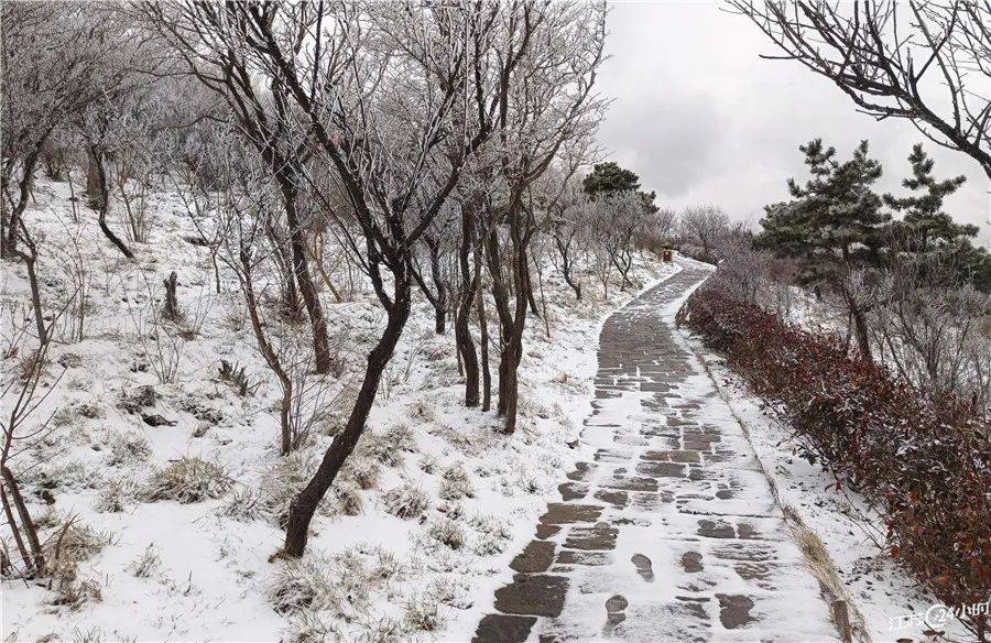 江苏24小时·滚动推送｜连云港市：降下小雪 成春季一景