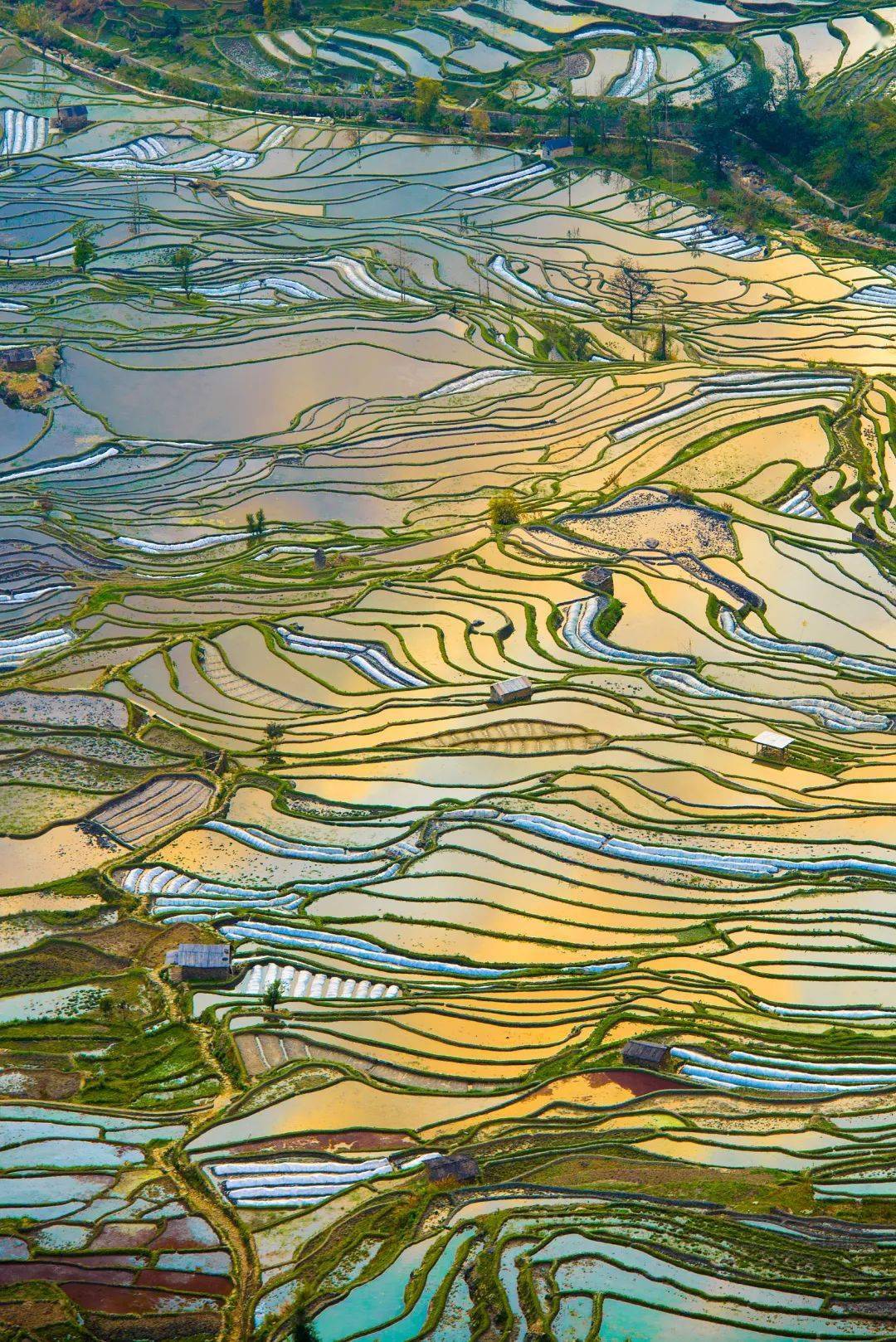梯田田田田田田……_灌溉_田块_体系