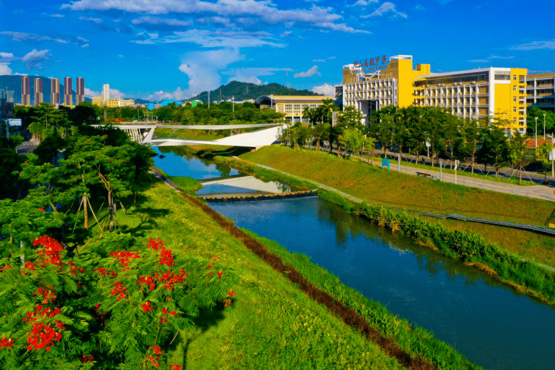 坪山春日"顶流"上线,来看!_山河_湿地_深圳市