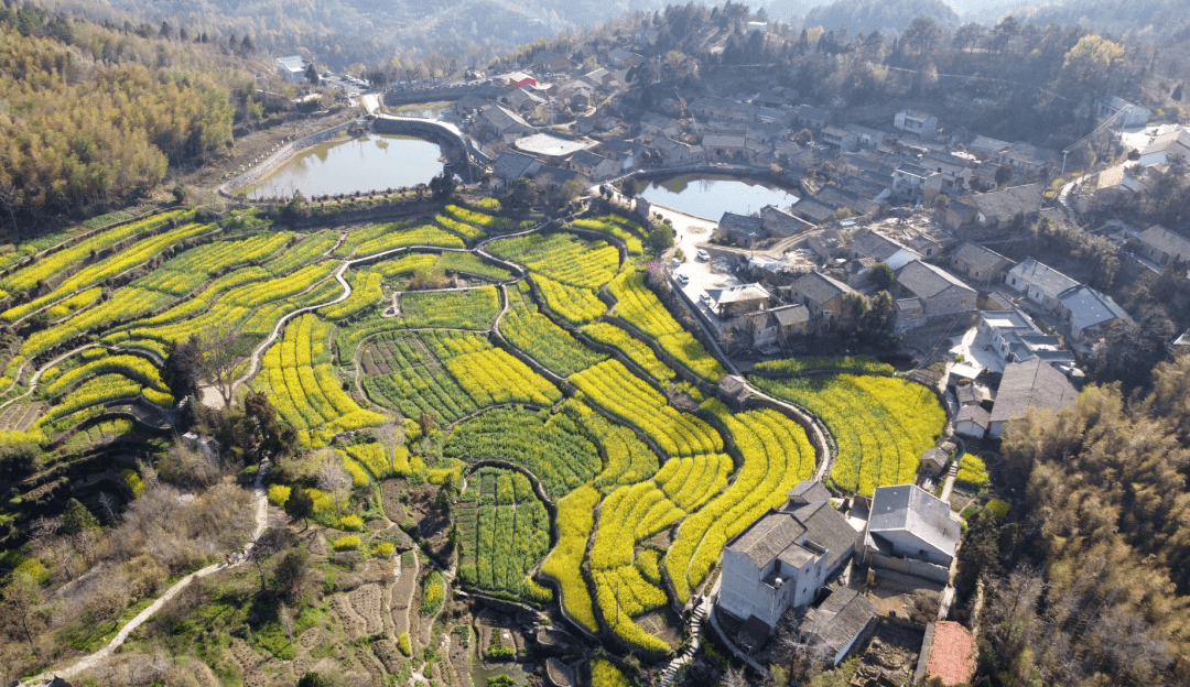 【电商小镇 强市有我】龟山镇东垸村:诗意古村向电商新村迈步_麻城市