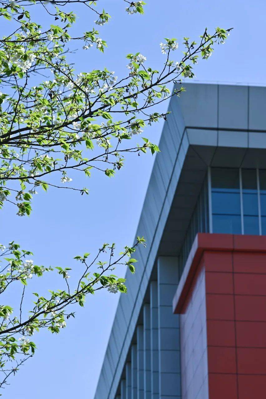 告诉春天,石瓦坡在绽放~_-swupl-_春风_洪若尧