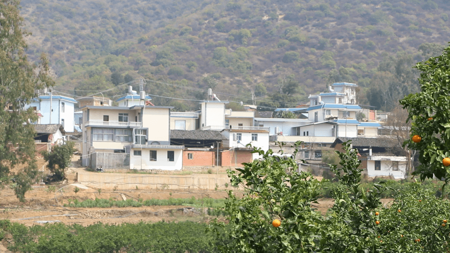 弥勒这个镇,上央视啦!_西二镇_海泊_柑橘