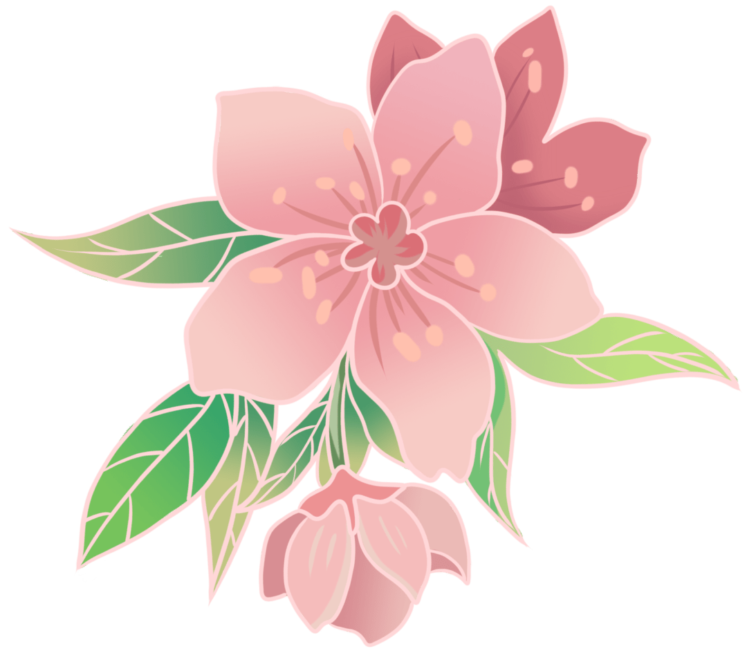 宜居江门,藏着无数人的诗与远方