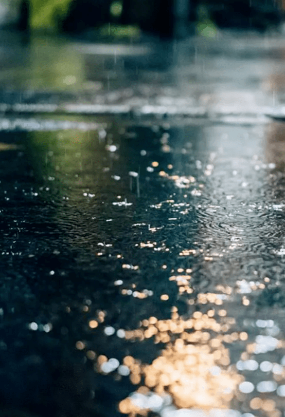 不属于我的雨伞,我宁愿淋雨走路。_友情_感觉_东西