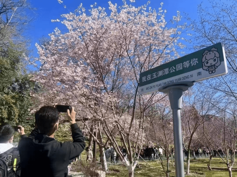 二十四节气之春分|The 24 Traditional Chinese Solar Terms——Spring Equinox