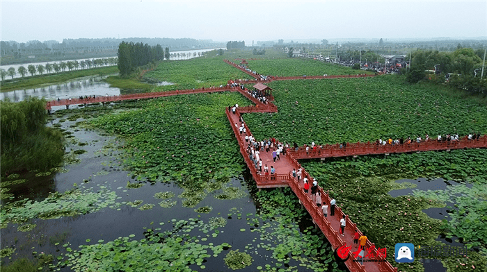 八里揽秀(八里湾风景区):水面宽阔,湖水浩渺,植被森然,一路风光美不胜