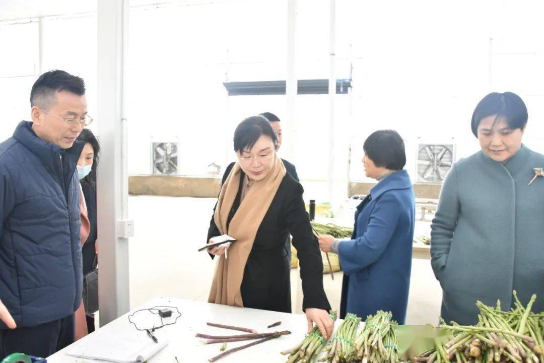 省乡村振兴局副局长曹爱珍到我市调研巩固拓展脱贫攻坚成果和乡村振兴