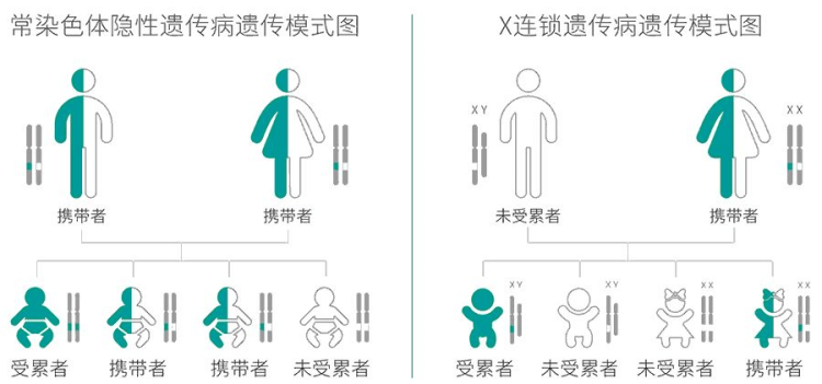 这样也行？（恶搞怀孕诊断单）恶搞怀孕单子 第2张