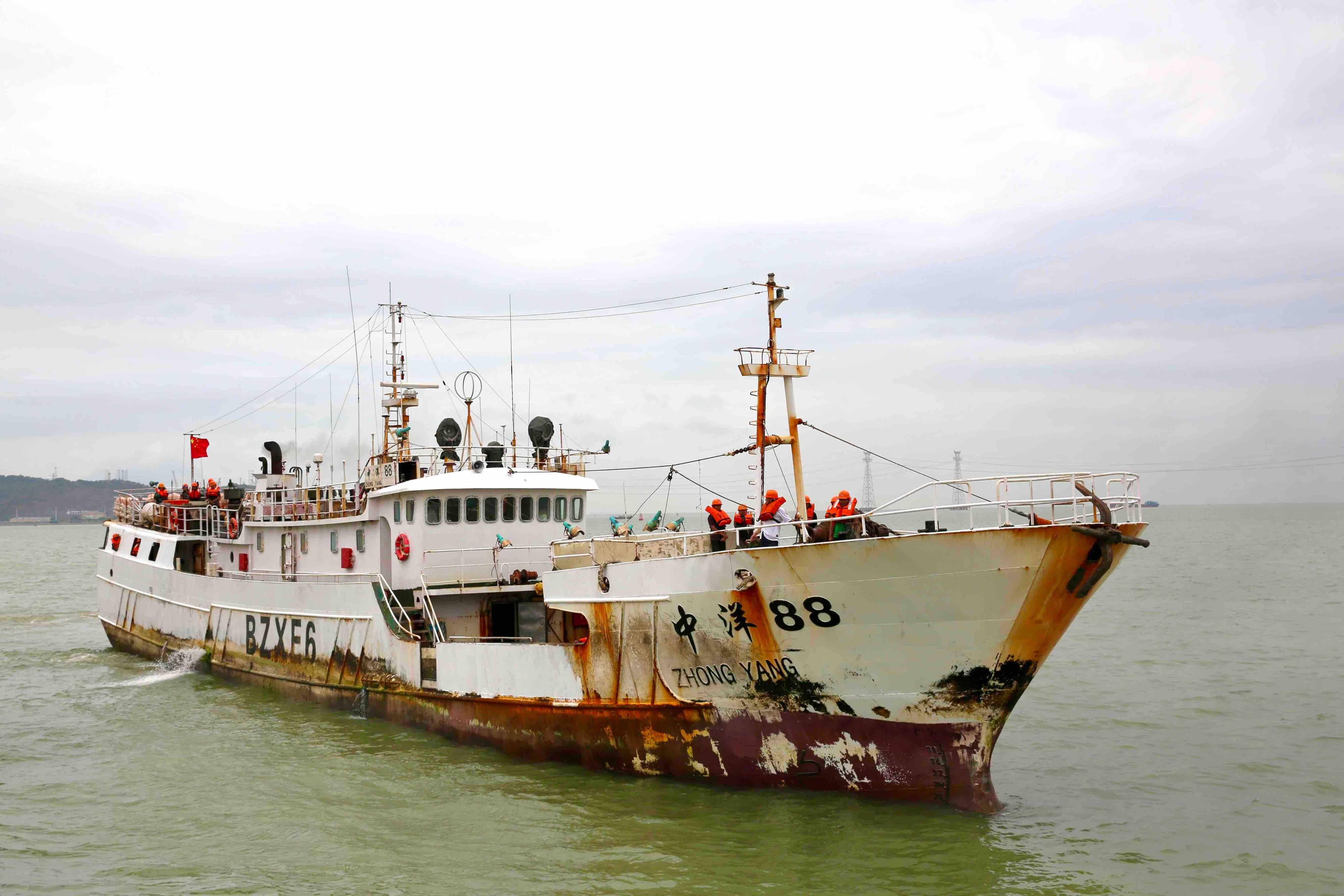 深圳大铲湾码头首次靠泊远洋渔船进港卸货_服务_金枪鱼_水湾