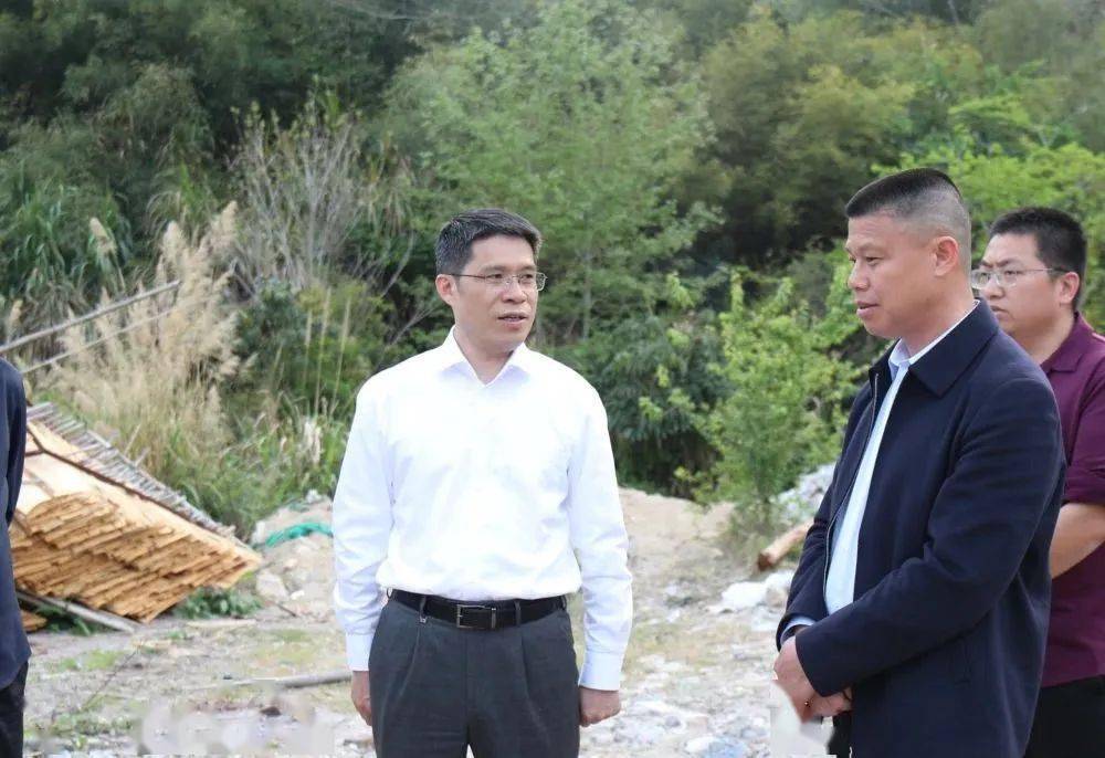 县长陈金友现场推进重点项目建设_工作_招商_相关