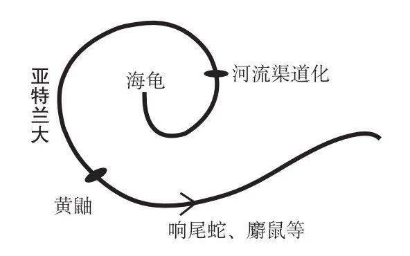 奔走相告（手抄报版面设计图简单）手抄报样版图 第2张