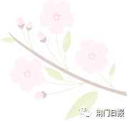 白花菜种子（白花菜子种植） 第1张