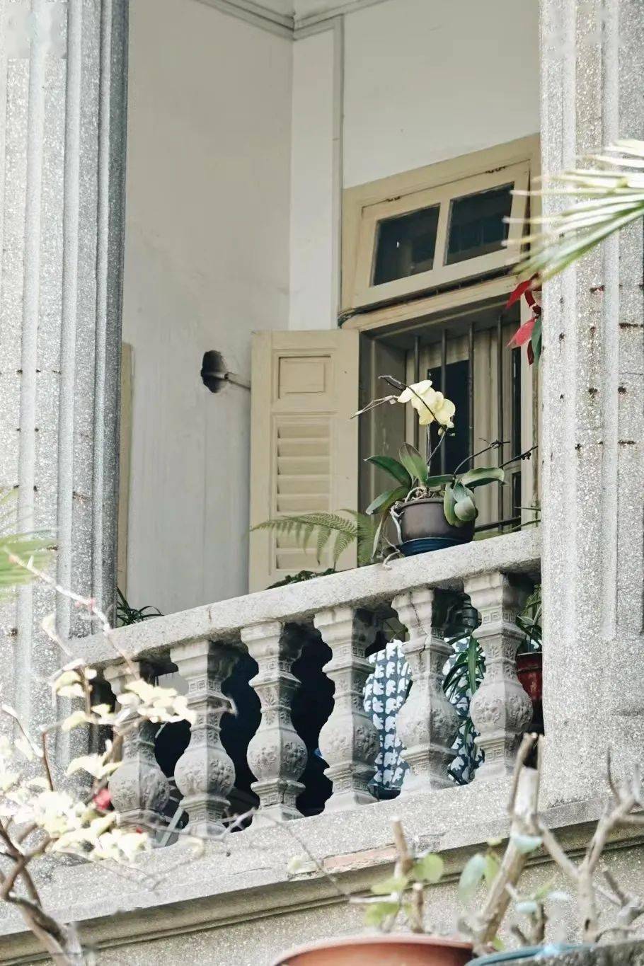 百年间,百家村,百态人生……_厦门_深田_别墅