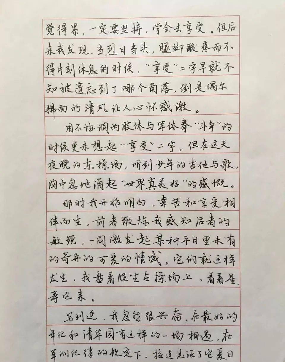 清华才女武亦姝硬笔日记曝光