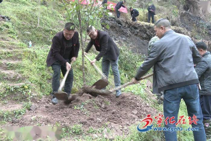 寧化水茜鎮:為綠充