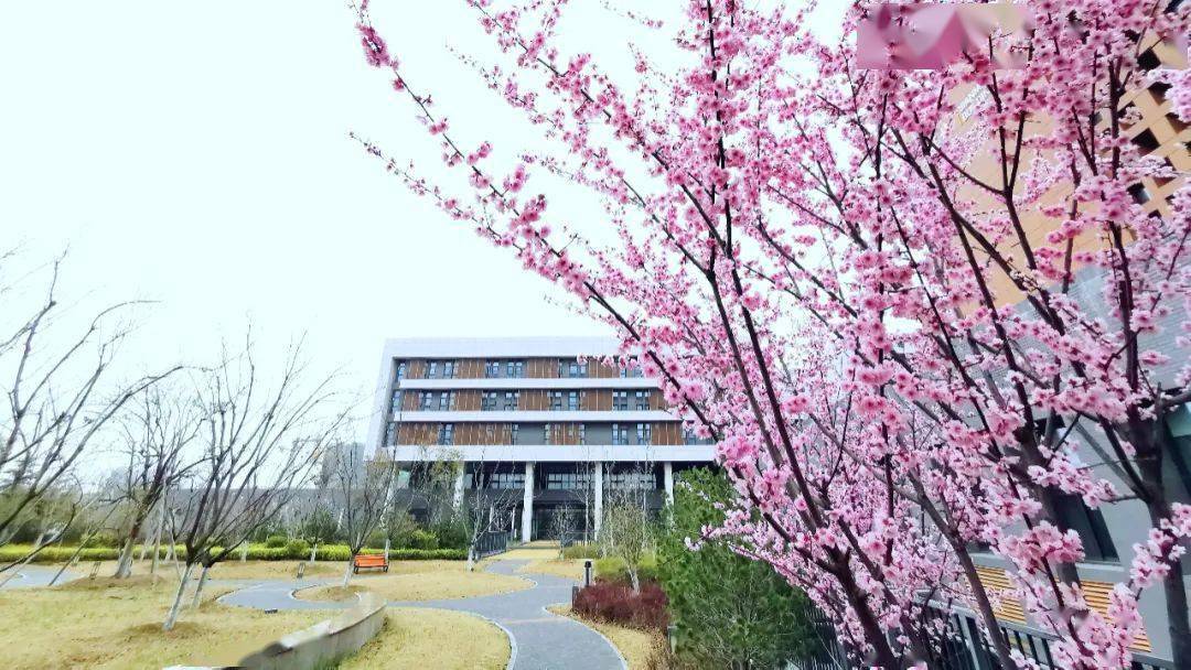 精英召集令 | 徐州一中2023高层次人才引进工作启动_高中_江苏省_发展