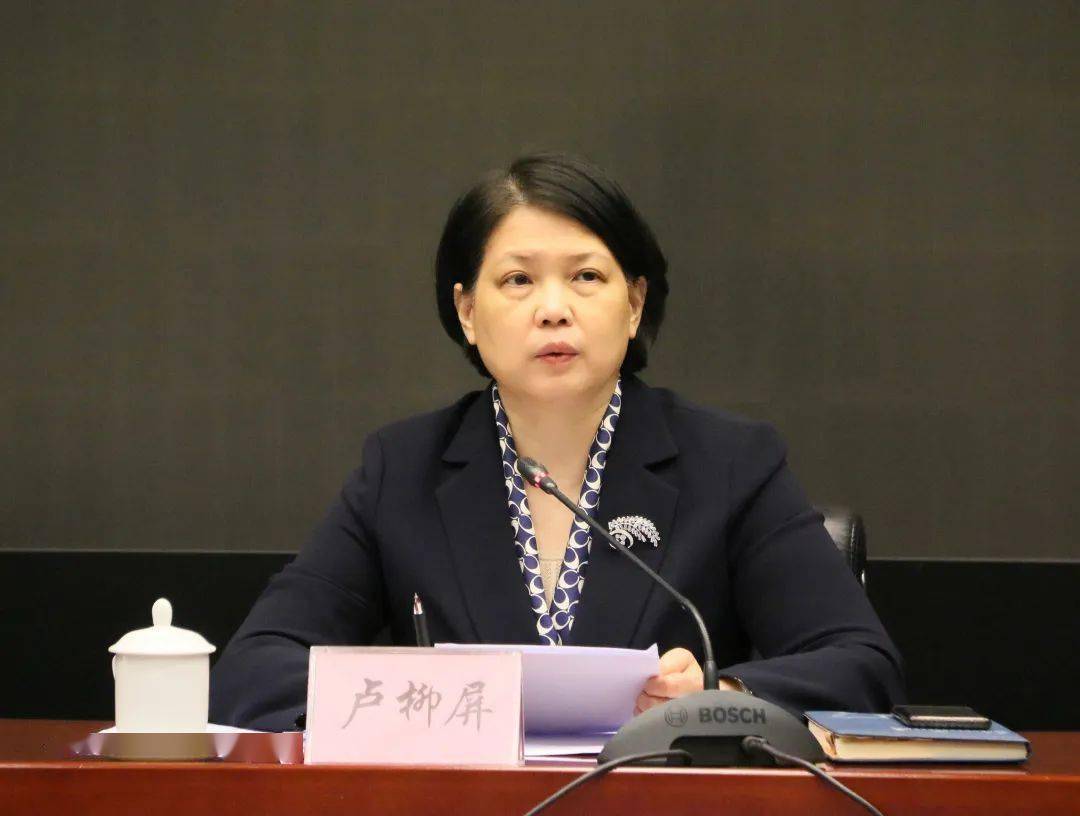 市人民政府副市长卢柳屏出席会议并讲话,会议由市人民政府副秘书长