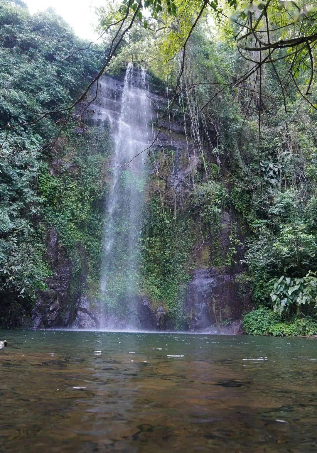有好水,真是太适合春天游玩了~_瀑布_九龙_景点