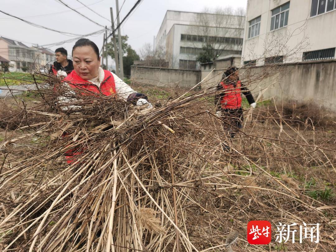 释放“红网”微力量！张家港乐余镇庆丰村推出“微”系列前锋“套餐”