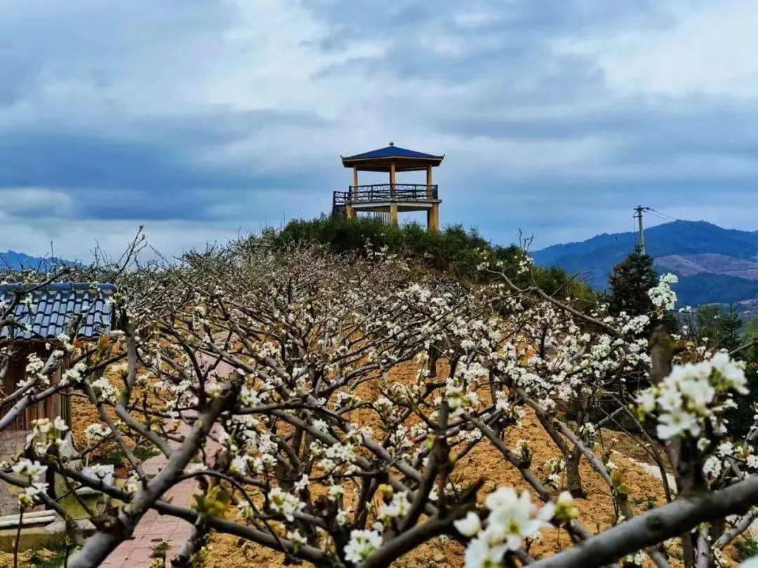 上涌镇_摄影_单位