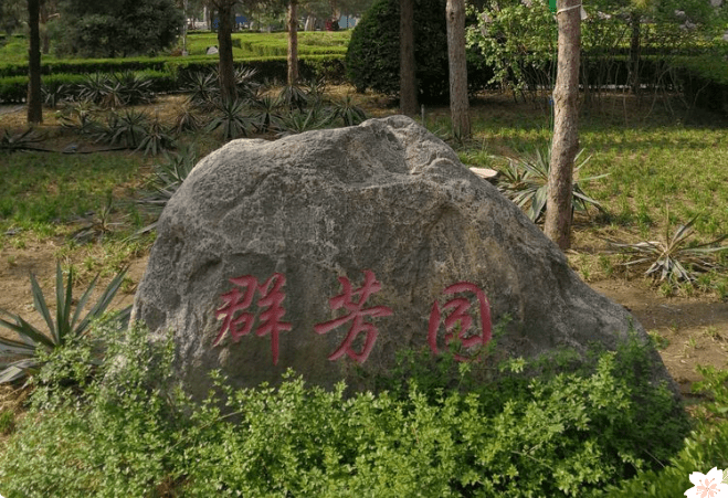 春风十里，赏花走起！大兴区赏花地图已上线