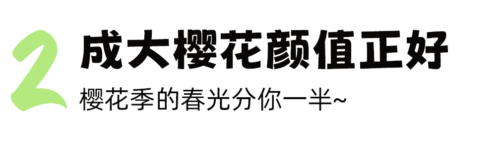 藏在大学里的成都春天