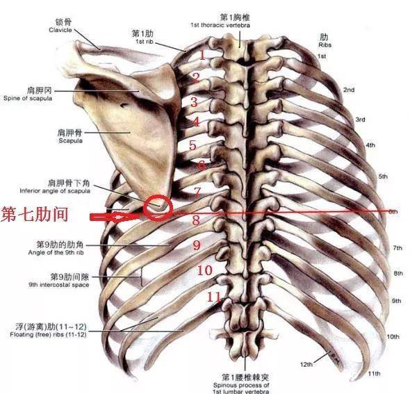 赶快收藏,胸腔穿刺史上最全总结!_患者_气胸_积液