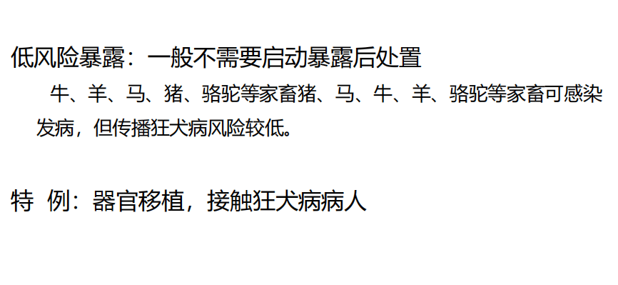 門診醫生接診並作暴露傷口處理→→狂犬病免疫球蛋白接種(必要時)